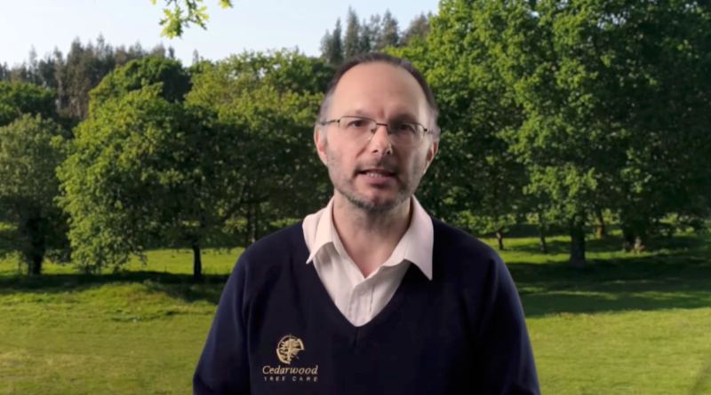 An arborist speaking to camera in a park, from a promotional film we made