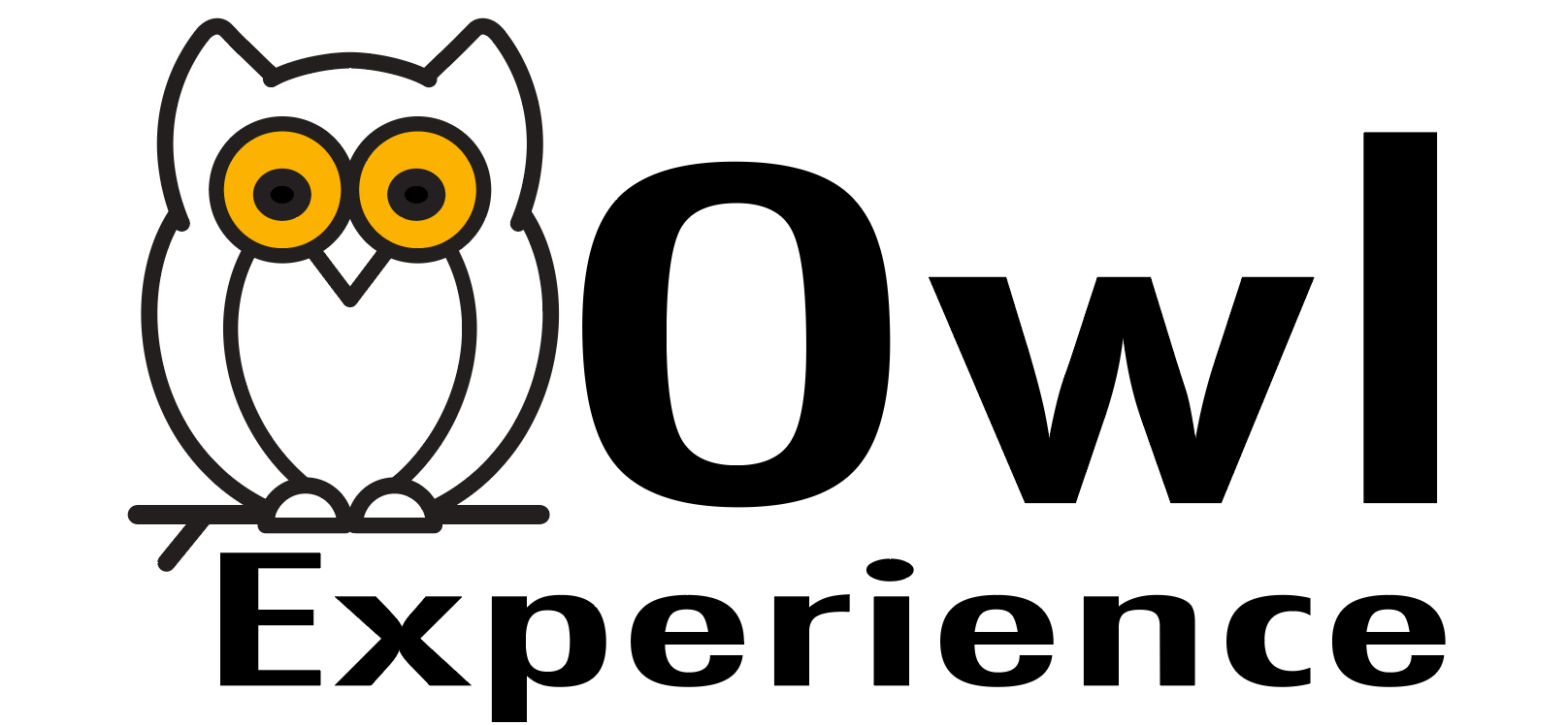 The Owl Experience
